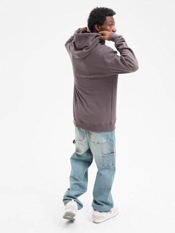 hydroponic - Sudadera 'Hydroponic Regular-Fit Brand Embroidered Hoodie' en gris