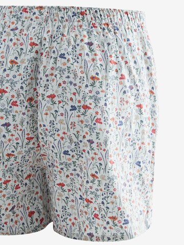 Boxer di Next in blu