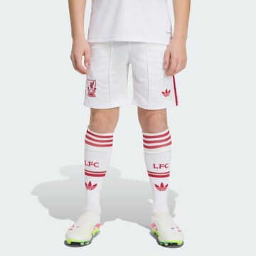 ADIDAS PERFORMANCEregular Sportske hlače 'Liverpool FC 26/27' - bijela boja