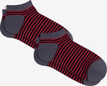 Albero Natur Socks 'Bio-Baumwoll-Sneakersocken Unisex - 2er Pack' in Black: front
