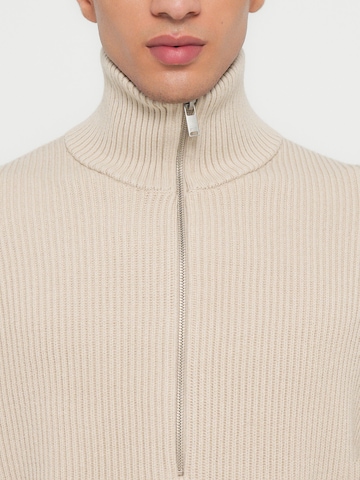 DRYKORN Sweater 'MANUELO 10' in Beige