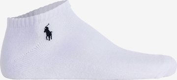 Chaussettes Polo Ralph Lauren en blanc