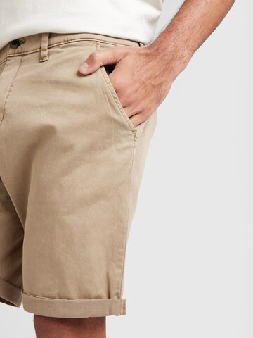 QS Regular Chino in Bruin