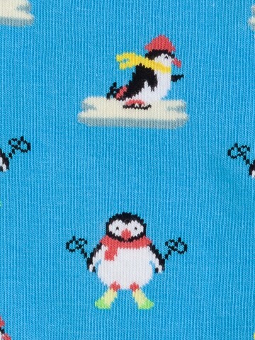 DillySocks Socken in Mischfarben