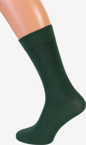 Chaussettes 'TAUNO' Sokisahtel en vert : devant