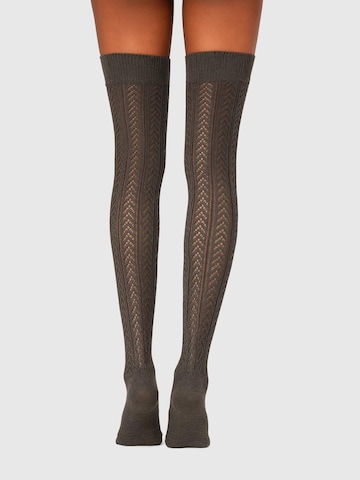 Lycille Overknee Strümpfe in Grau