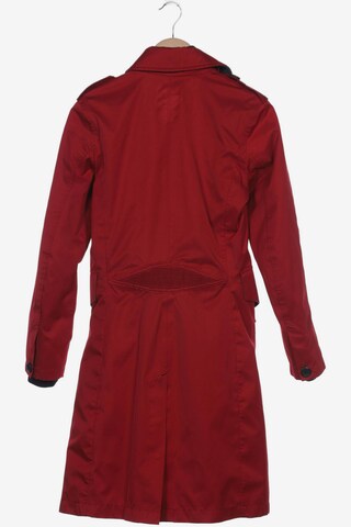 g-lab Jacket & Coat in S in Red