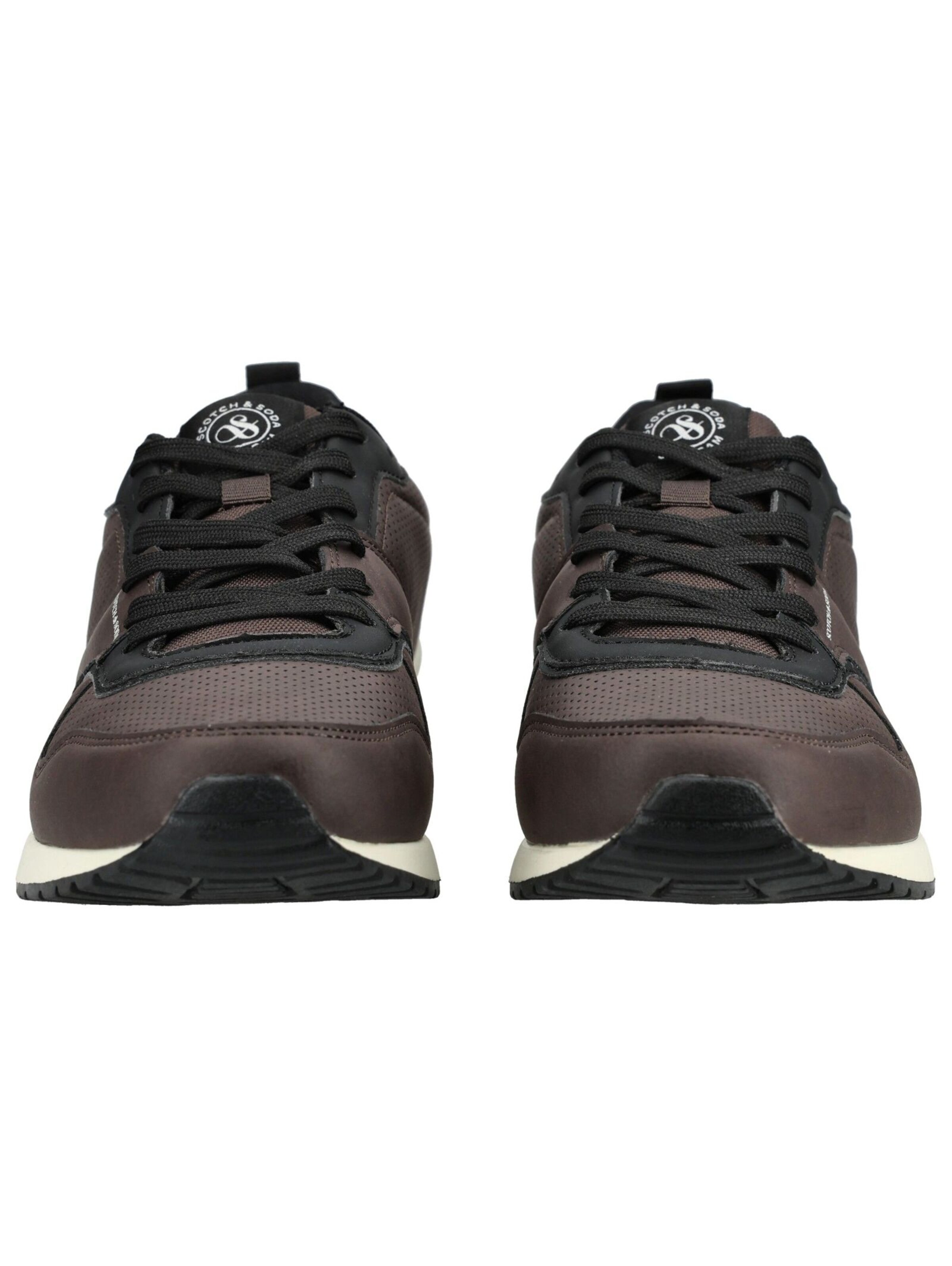 Baskets basses SCOTCH & SODA en marron