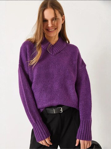 Bianco Lucci - Pullover em roxo: frente