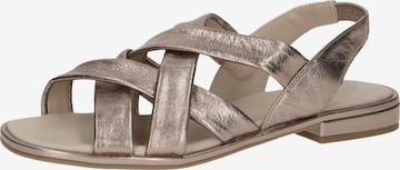 CAPRICE Sandals in Grey: front