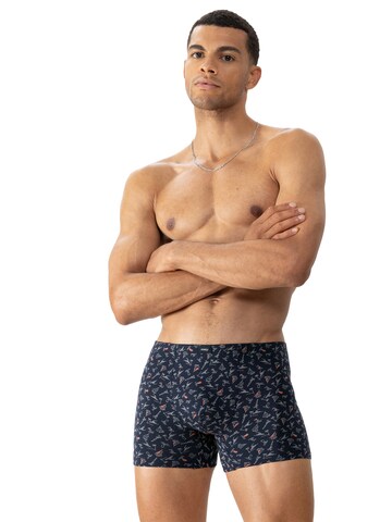 Mey Boxer shorts in Blue: front