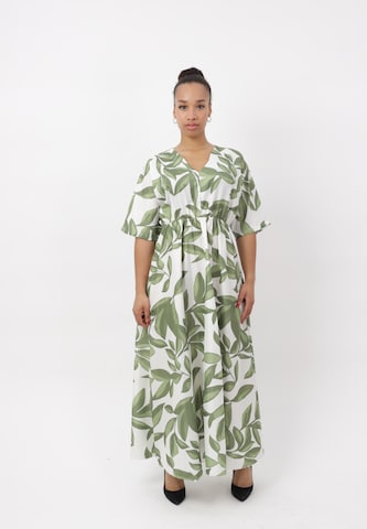 Elara Dress in Green: front