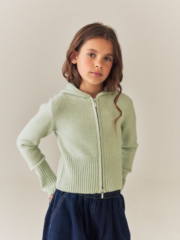 Next Gebreid vest in Groen: voorkant