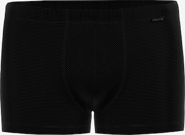 Ammann Boxer shorts ' Cotton & More ' in Black: front
