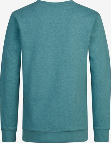 Petrol Industries Sweatshirt 'Oak Park' in Groen