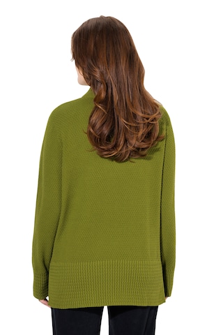 Ulla Popken Pullover in Grün