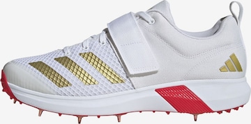 ADIDAS PERFORMANCE Sportschuh 'Adipower Vector 20' in Weiß: Vorderseite