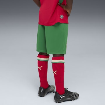 PUMA Regular Sportbroek 'Marokko' in Groen