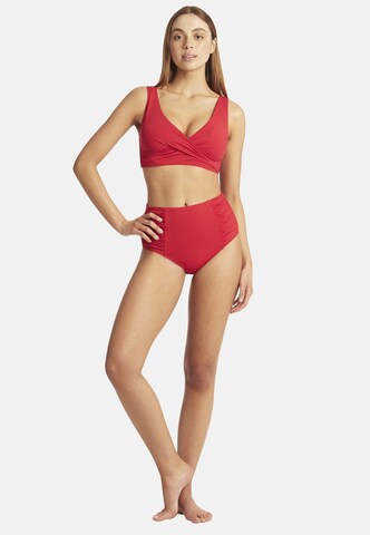 SEA LEVEL T-Shirt Bikinitop 'Essentials Edit' in Rot