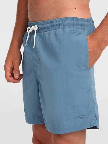 O'NEILL Ujumispüksid 'Vert', värv sinine