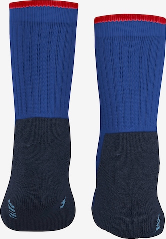 FALKE Socks in Blue