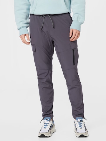HOLLISTER Cargo trousers in Grey: front