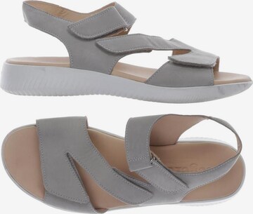 Legero Sandals & High-Heeled Sandals in 39 in Grey: front