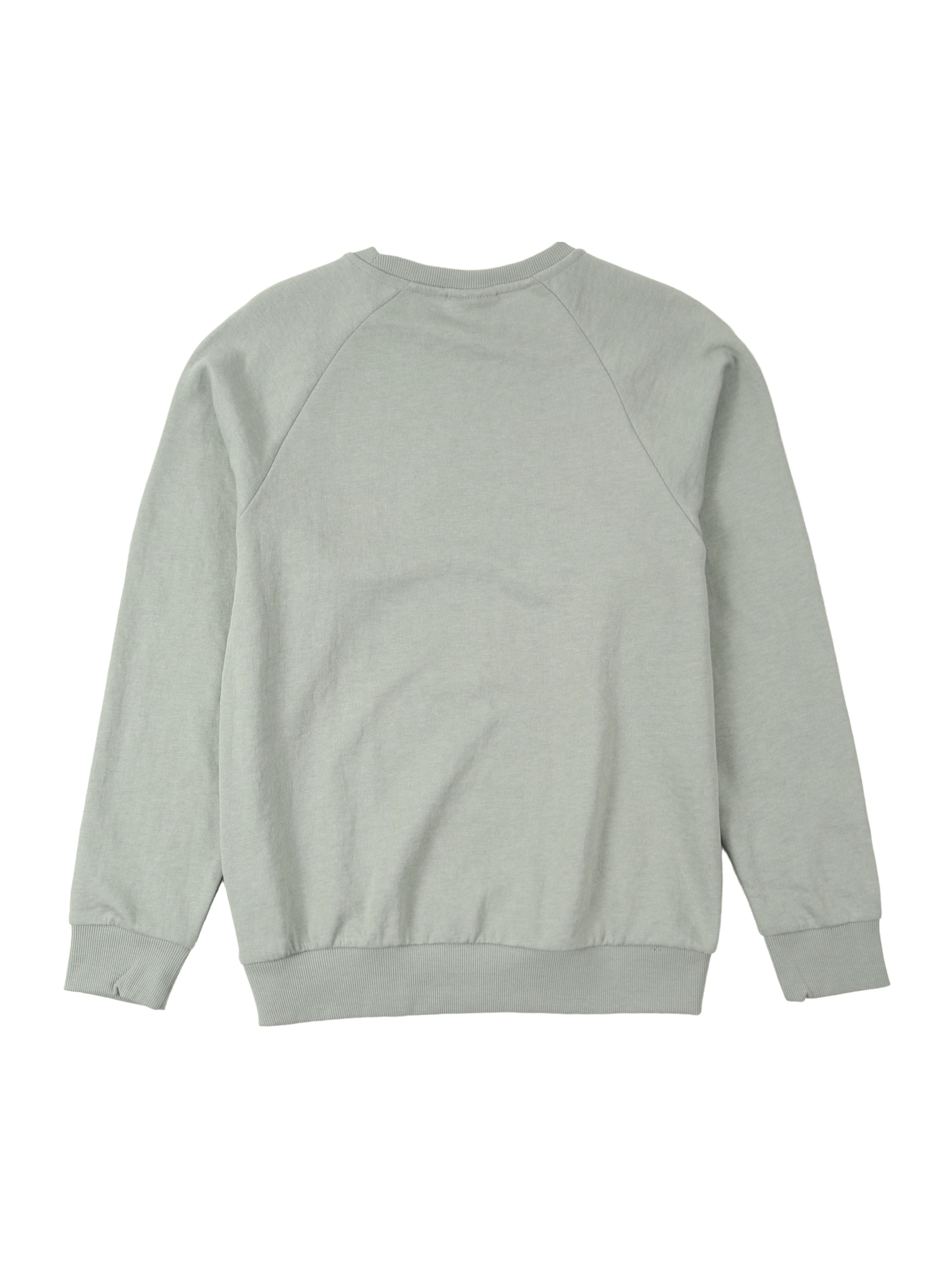 NAME IT Sweatshirt 'NKMVION' in Green
