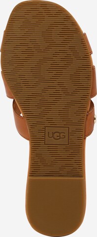 UGG Mule 'Teague' in Brown