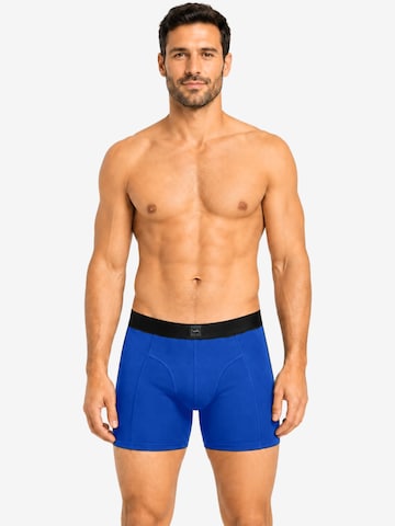 SITZTGUT Boxer shorts 'SITZTGUT Herren-Boxershorts 3er-Pack' in Blue: front