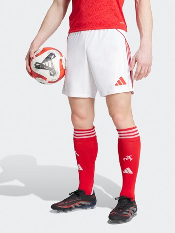 ADIDAS PERFORMANCE Regular Workout Pants 'AFC' in White: front