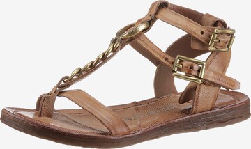 A.S.98 T-Bar Sandals ' Ramos' in Brown: front