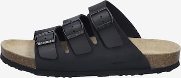 JOSEF SEIBEL Sandale 'JOSEF' in Schwarz: Vorderseite