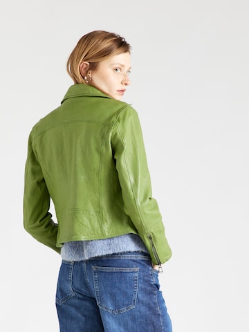 JOOP! Between-season jacket in Green