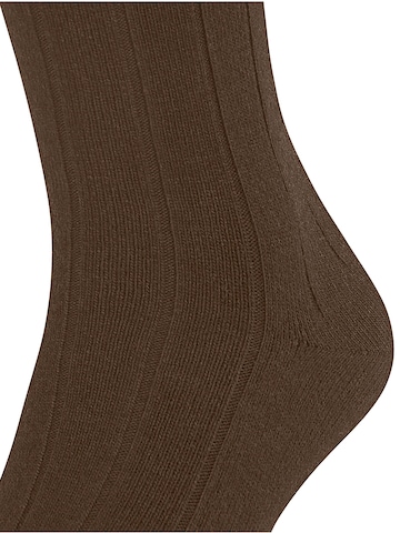 FALKE Knee High Socks 'Lhasa Rib' in Brown