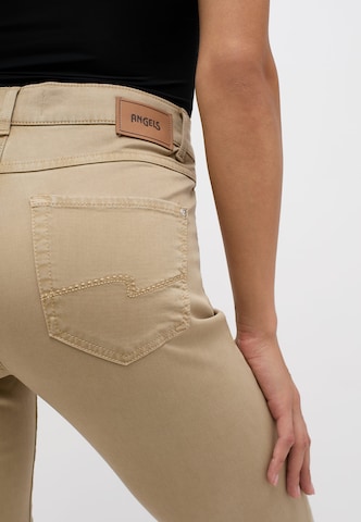 Angels Regular Chino Pants in Brown