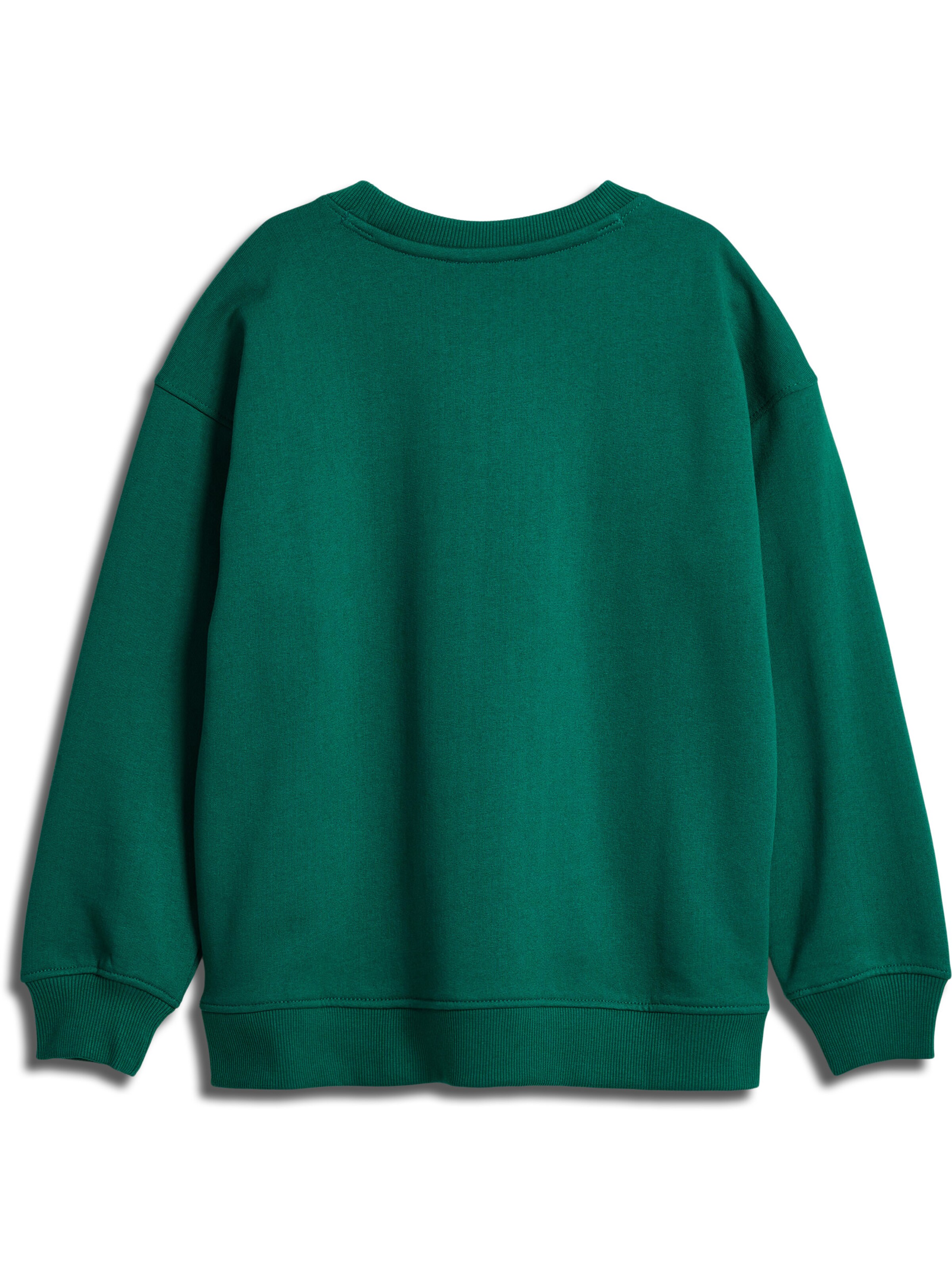 SOMETIME SOON Sweatshirt 'Winters' i grøn