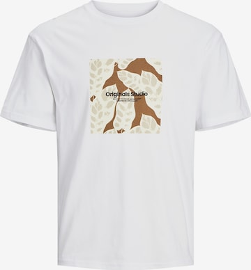 T-Shirt 'Sequoia' JACK & JONES en blanc : devant