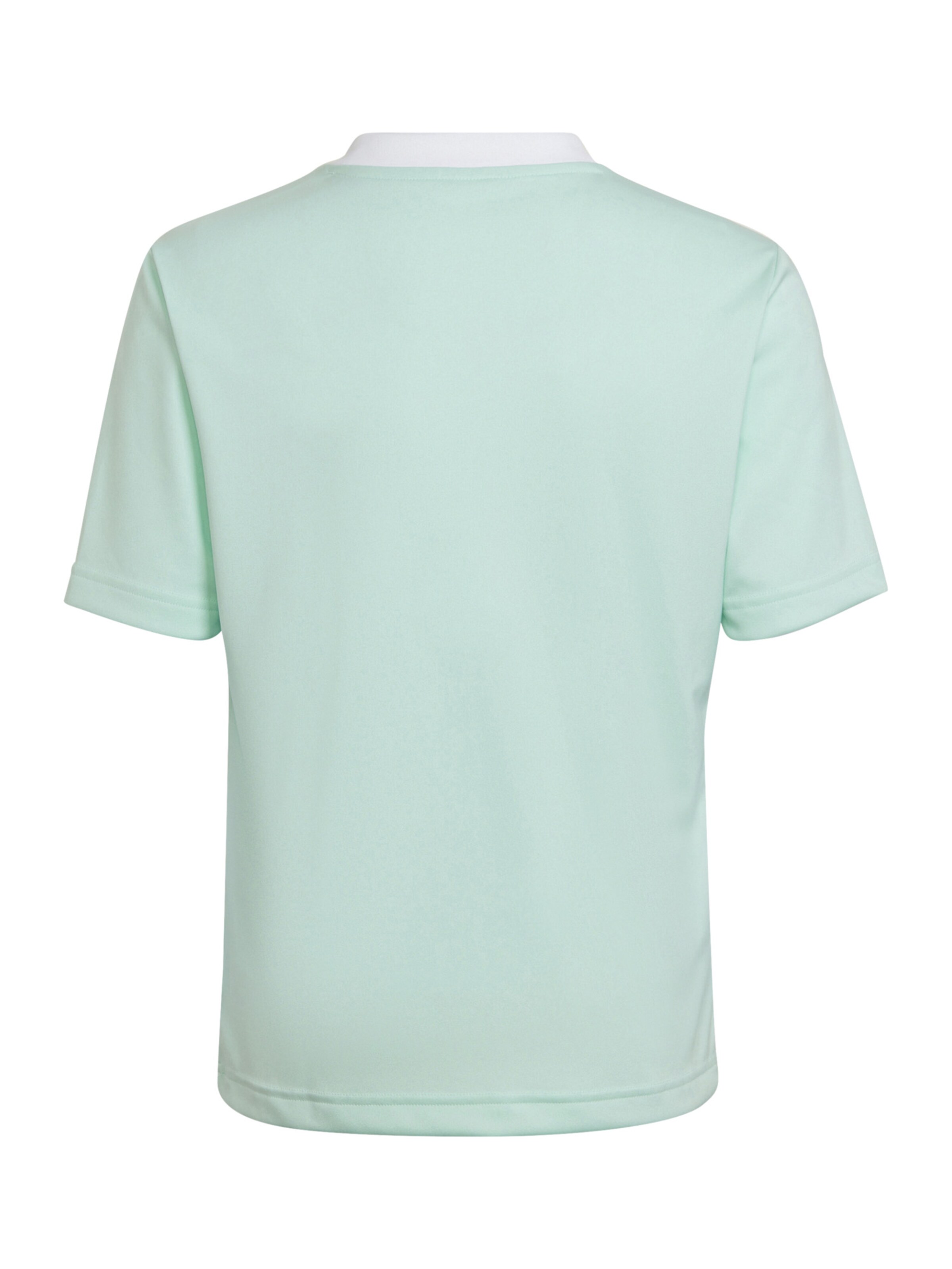 ADIDAS PERFORMANCE Performance Shirt 'Entrada 22' in Green