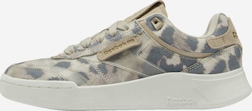 Baskets basses 'Club C Legacy' Reebok en beige : devant