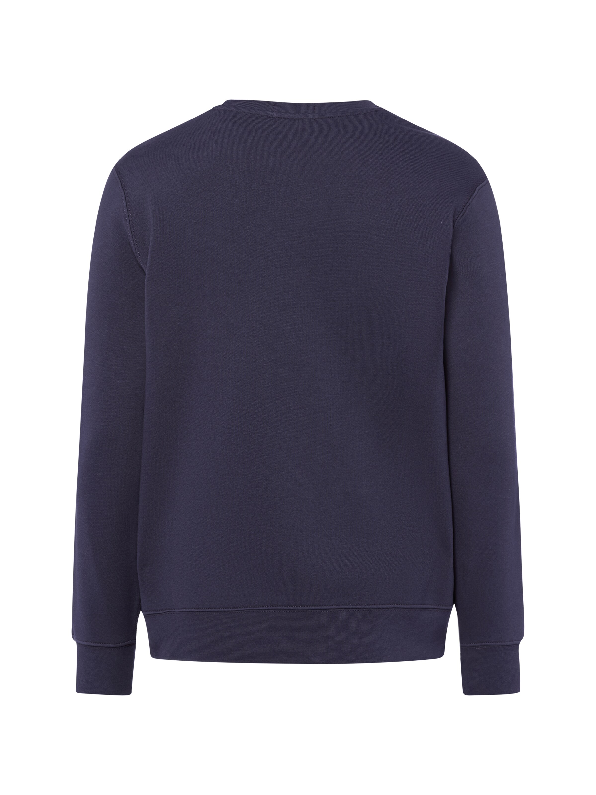 Polo Ralph Lauren Sweatshirt in Blau