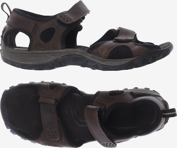 TIMBERLAND Sandals & Slippers in 48 in Brown: front