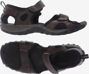 TIMBERLAND Sandalen 48 in Braun: predná strana