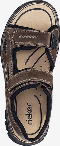 Rieker Hiking Sandals in Brown