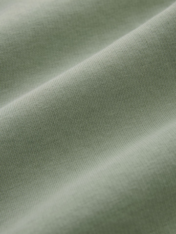 Next Sweatshirt in Grün