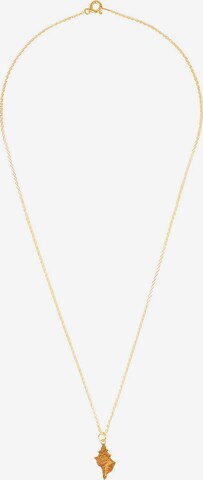 Fräulein Wunder - Colar 'Conch Muschel - Sterling Silber' em ouro: frente