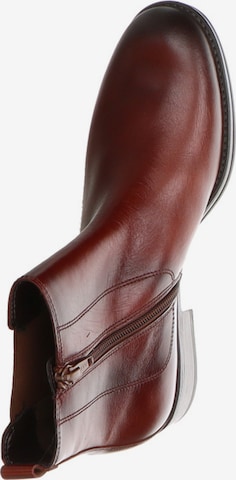 GABOR Chelsea boots in Bruin