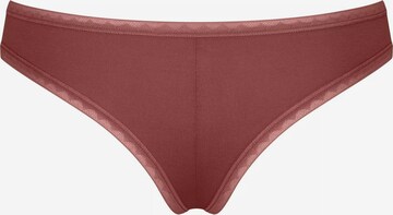 SLOGGI Panty 'GO' in Brown