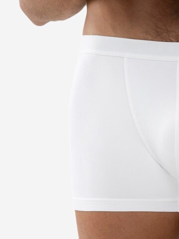 Mey Boxer shorts 'Cool' in White