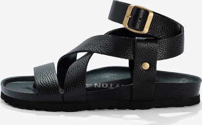 Sandalai iš Bayton, spalva – juoda, Prekių apžvalga